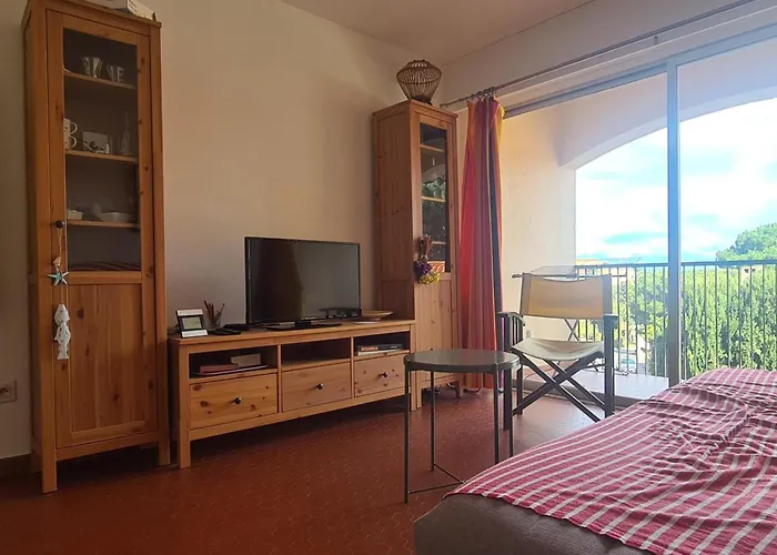 Charmant T2 A 300M De La Plage Avec Parking A Collioure - Fr-1-309-418
